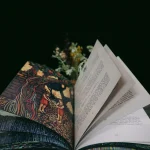 The Big Visions Book (2nd edition)