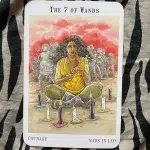 Next World Tarot - Pocket deck