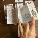 Roots and Wings Oracle