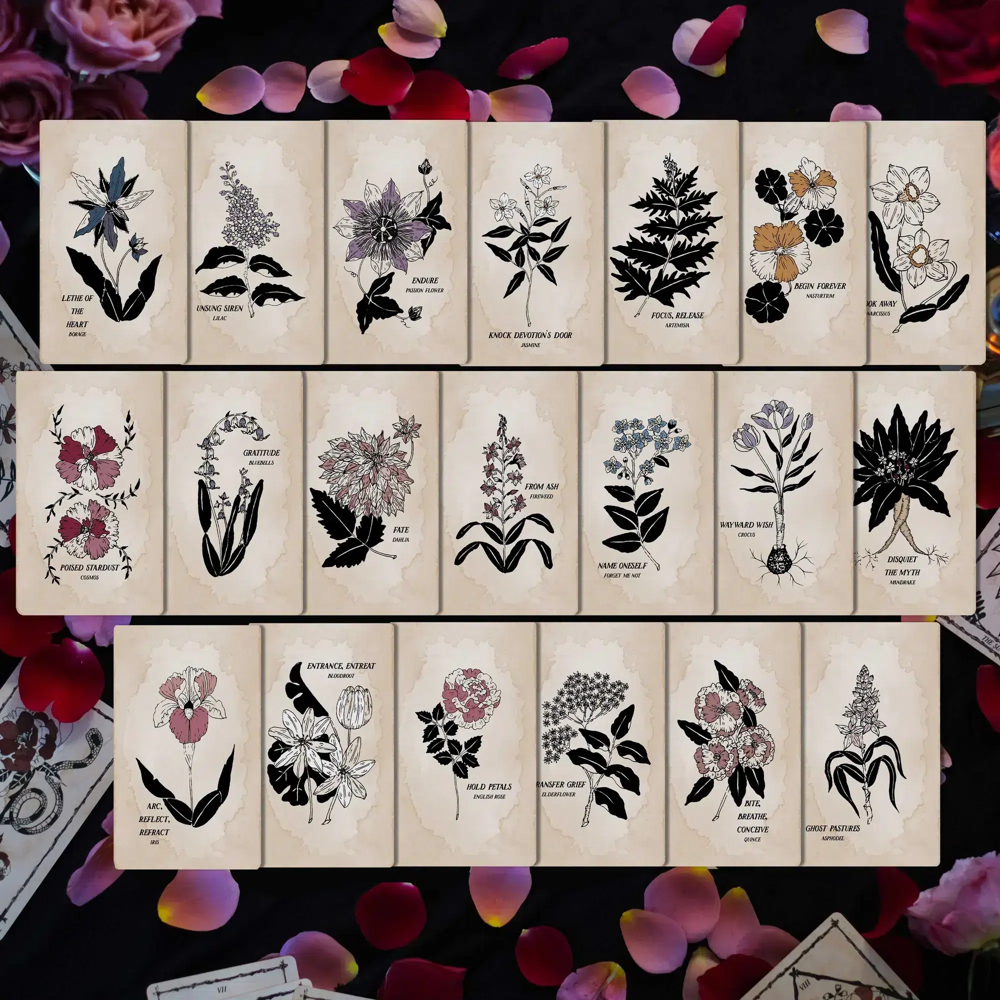 Pythia Botanica Oracle - Volume 1
