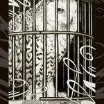 HP Tarot