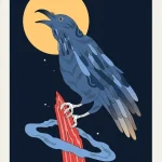 Oracle of Novice Witches