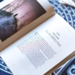 Somnia Tarot - Companion Book