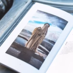 Somnia Tarot - Companion Book