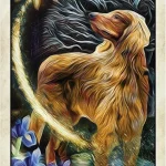 Wise Dog Tarot