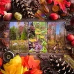 Walking Meditation Tarot