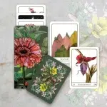 Terra Lenormand - 2nd Edition