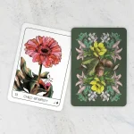 Terra Lenormand - 2nd Edition