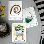 Terra Lenormand - 2nd Edition