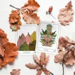 Terra Lenormand - 2nd Edition