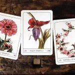 Terra Lenormand - 2nd Edition