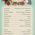 Botanical Inspirations