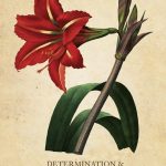 Botanical Inspirations
