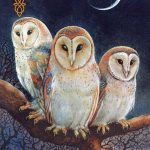 Celtic Lenormand