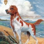 Celtic Lenormand