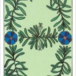 The Herbal Tarot