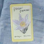 Prairie Divination