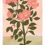 The Harmony Tarot