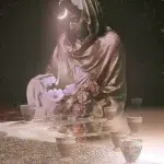 The Shadow Moonchild Tarot