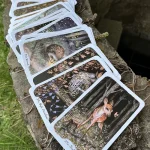 MINI Oak, Ash & Thorn Tarot