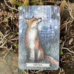 Thistledown Oracle