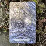 Thistledown Oracle