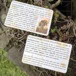 Thistledown Oracle