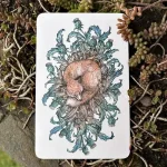 Thistledown Oracle