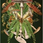 Unlocking the Secret Garden Oracle