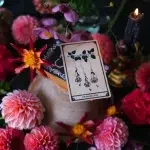 Viola Lux Umbra Tarot