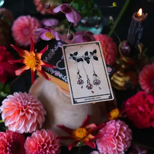 Viola Lux Umbra Tarot