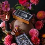 Viola Lux Umbra Tarot