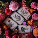 Viola Lux Umbra Tarot