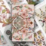 The Enchanted Divination Collection