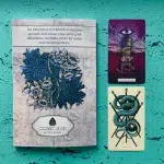 Cosmic Seed Workbook