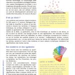 Mon Cahier Numérologie