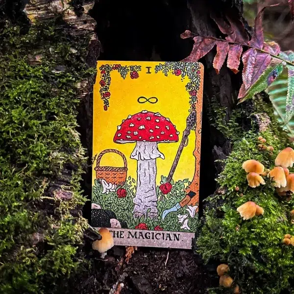 The Mushroom Hunter's Arcanum