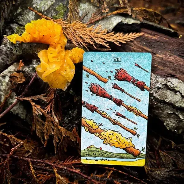 The Mushroom Hunter's Arcanum
