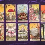 The Mushroom Hunter's Arcanum