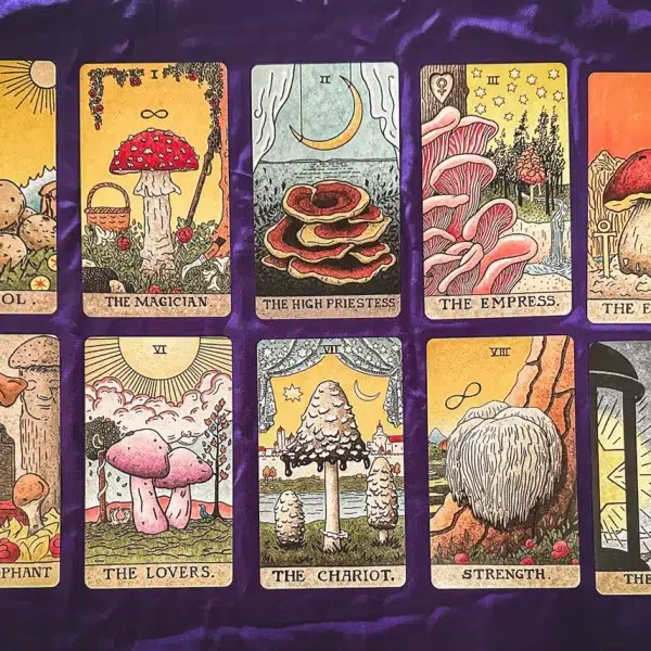 The Mushroom Hunter's Arcanum