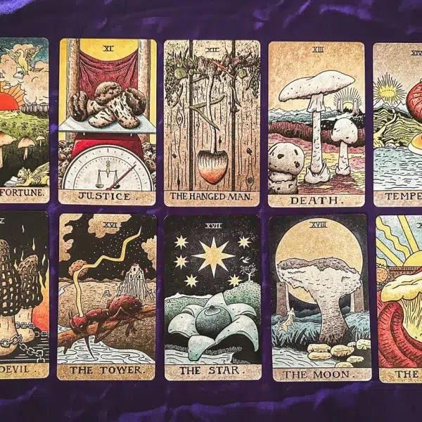 The Mushroom Hunter's Arcanum