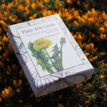 Plant Ally Cards