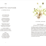 Tarot des Plantes Sauvages