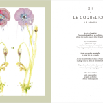 Tarot des Plantes Sauvages