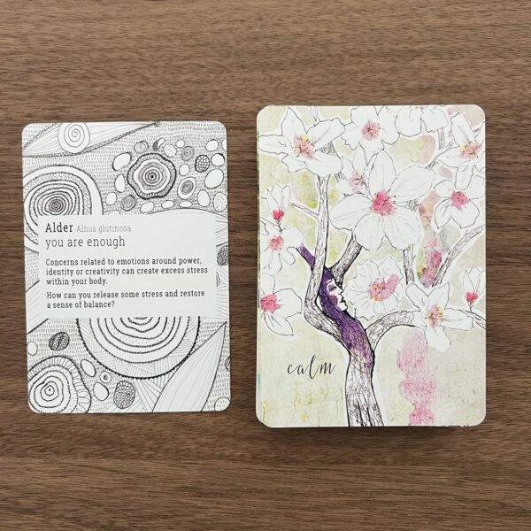 Tree Wisdom Cards