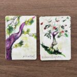 Tree Wisdom Cards