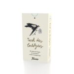 Tarot des Carlotydes