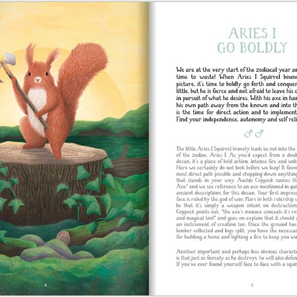 The Wild Way Oracle