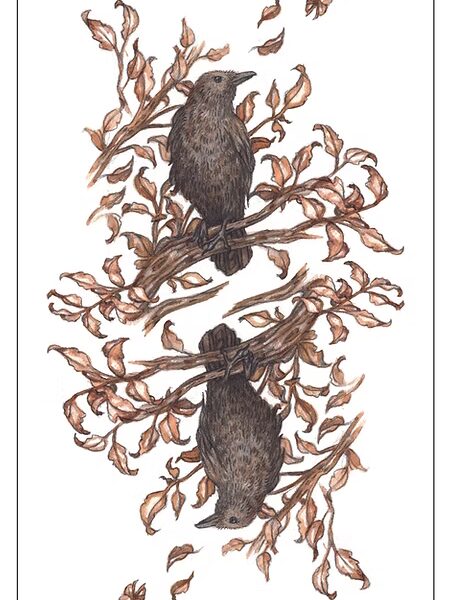 Oak, Ash & Thorn Tarot (Volume 1)