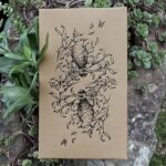 Oak, Ash & Thorn Tarot (Volume 1)